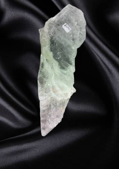 Selenite Angel Wing From The Cave of The Giant Crystals in Naica Mexico image 0